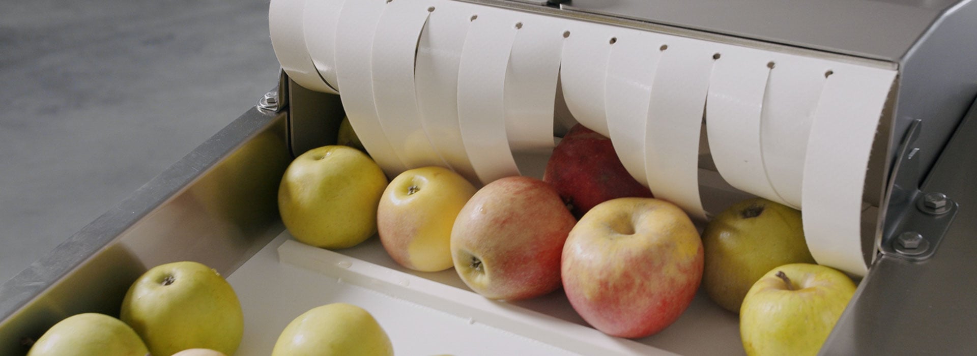 sraml fruit vegetable