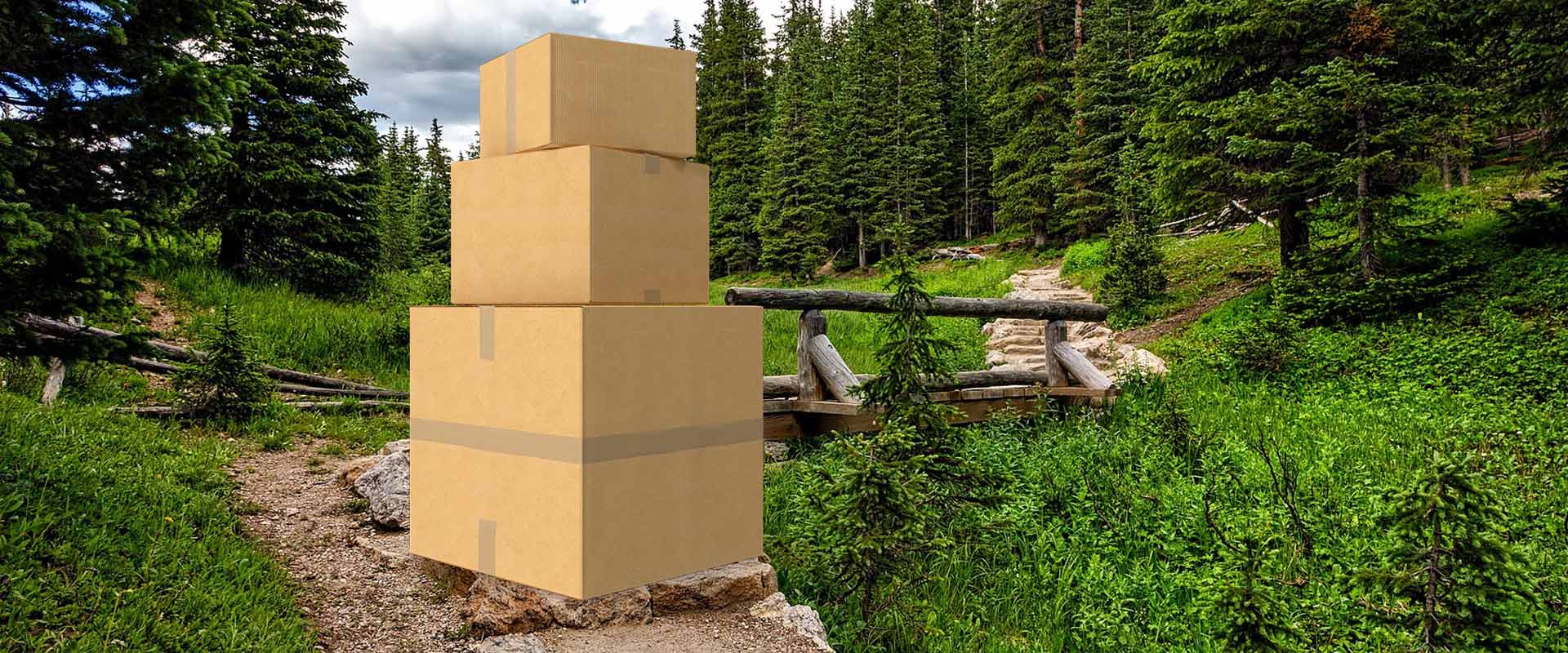 professinal movers in colorado