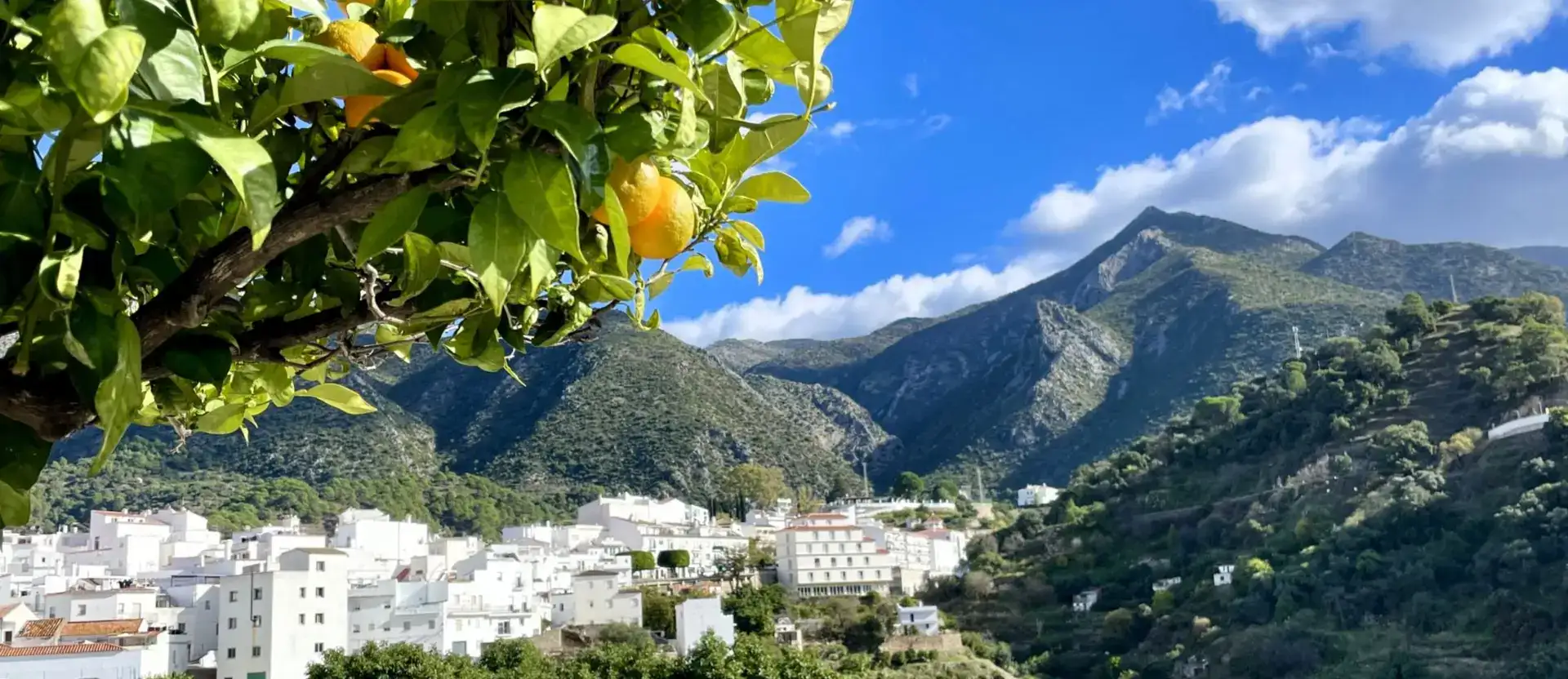 Ausflüge Costa del Sol Weiße Dörfer