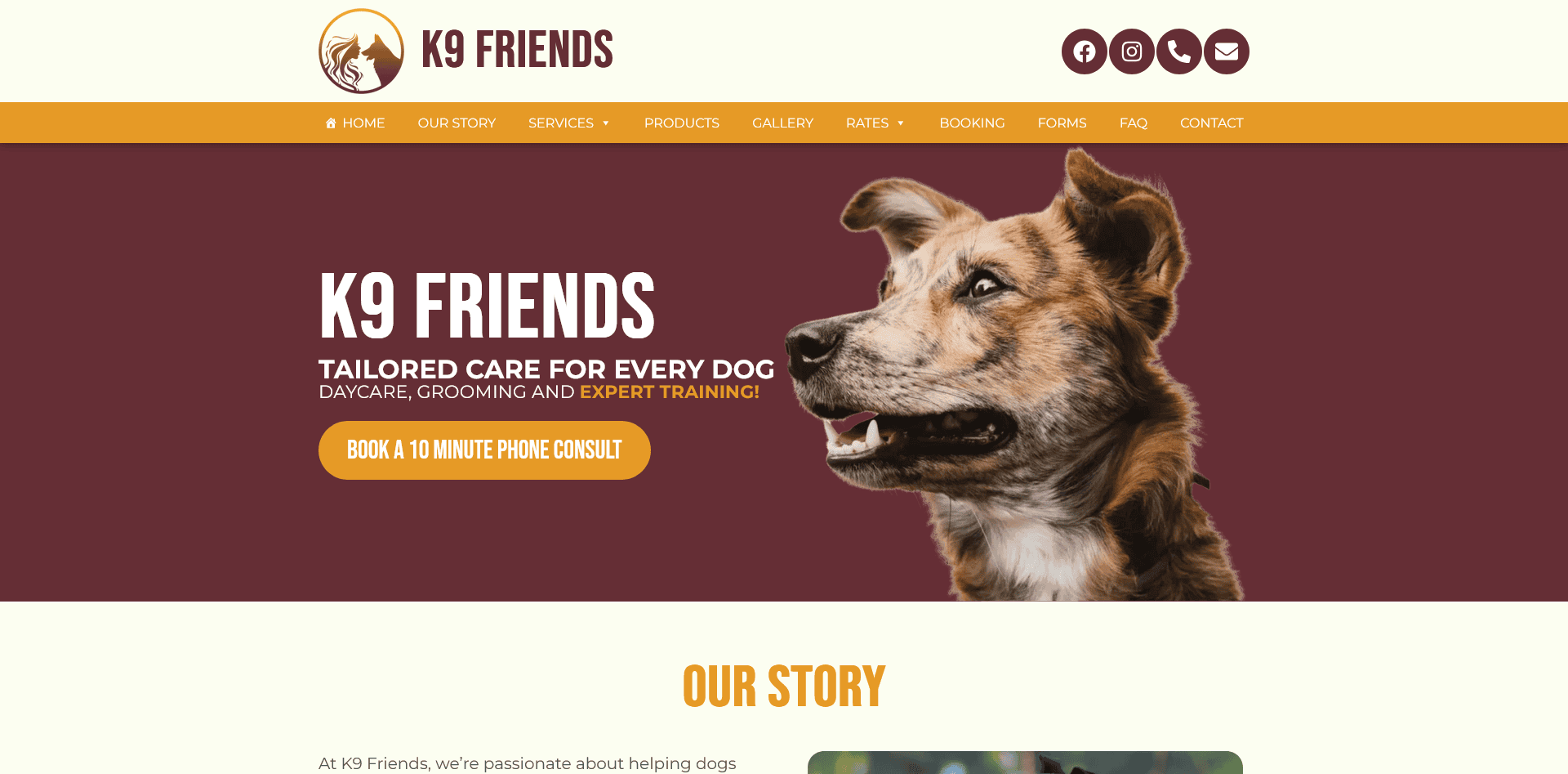 K9 Friends Doggy Daycare