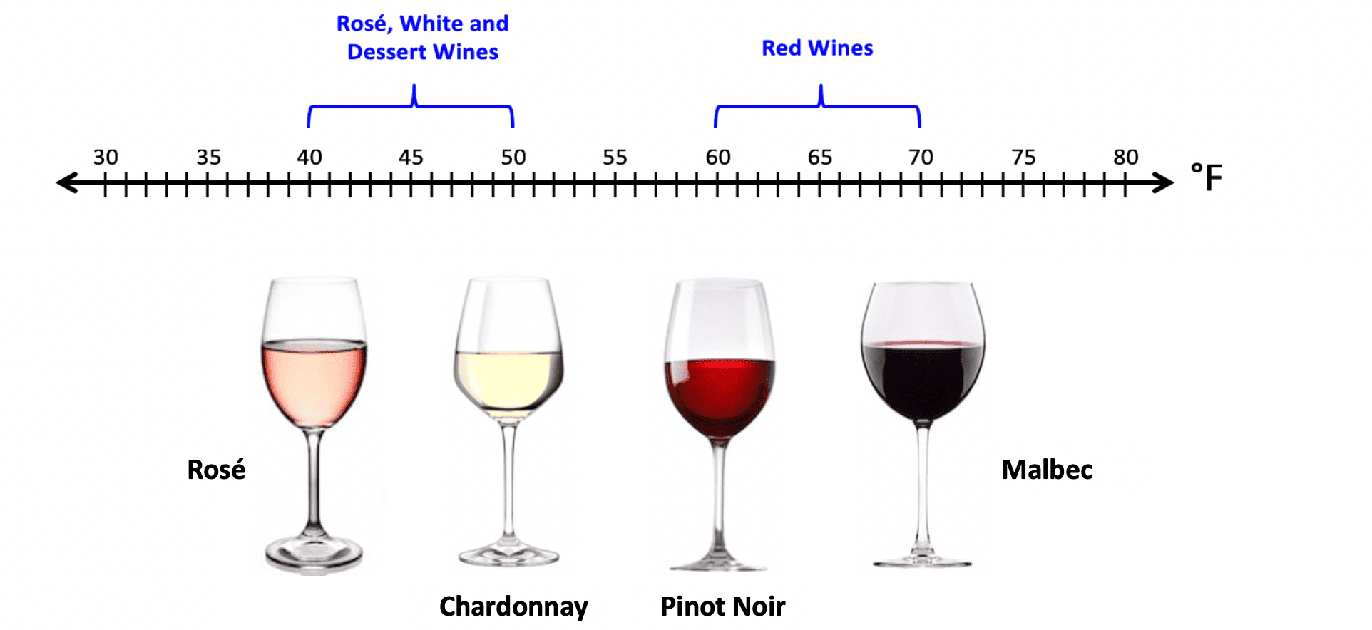 Wine Tasting Considerations Aaron Diaz Wine Blog