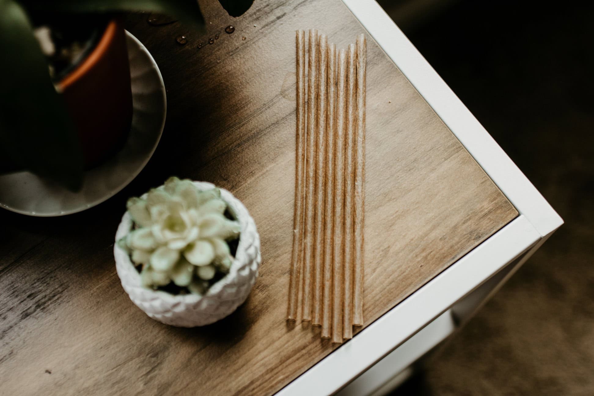 Agave straws over desk
