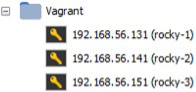 Vagrant ile oluşturulan üç sanal makinenin IP adresleri