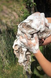 Haarseife kaufen natuerlich ohne silikone haarseifenprobierset