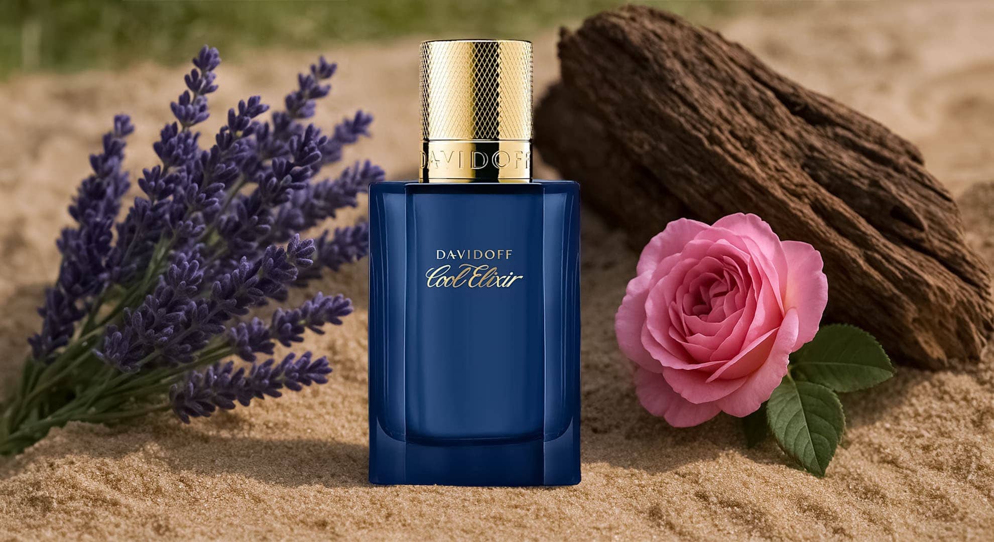 davidoff cool elixir parfum woody oud aromatic fragrance for men 2025