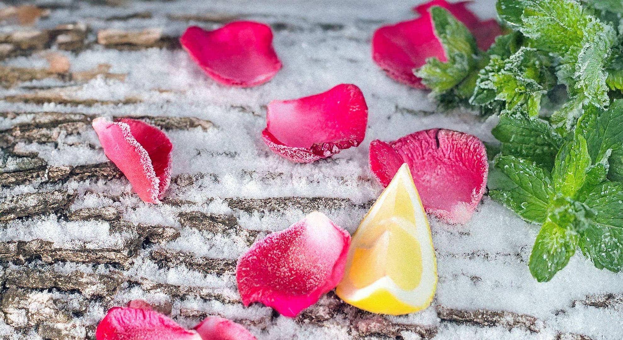 frozen rose petals in snow between green mint, lemon and wood