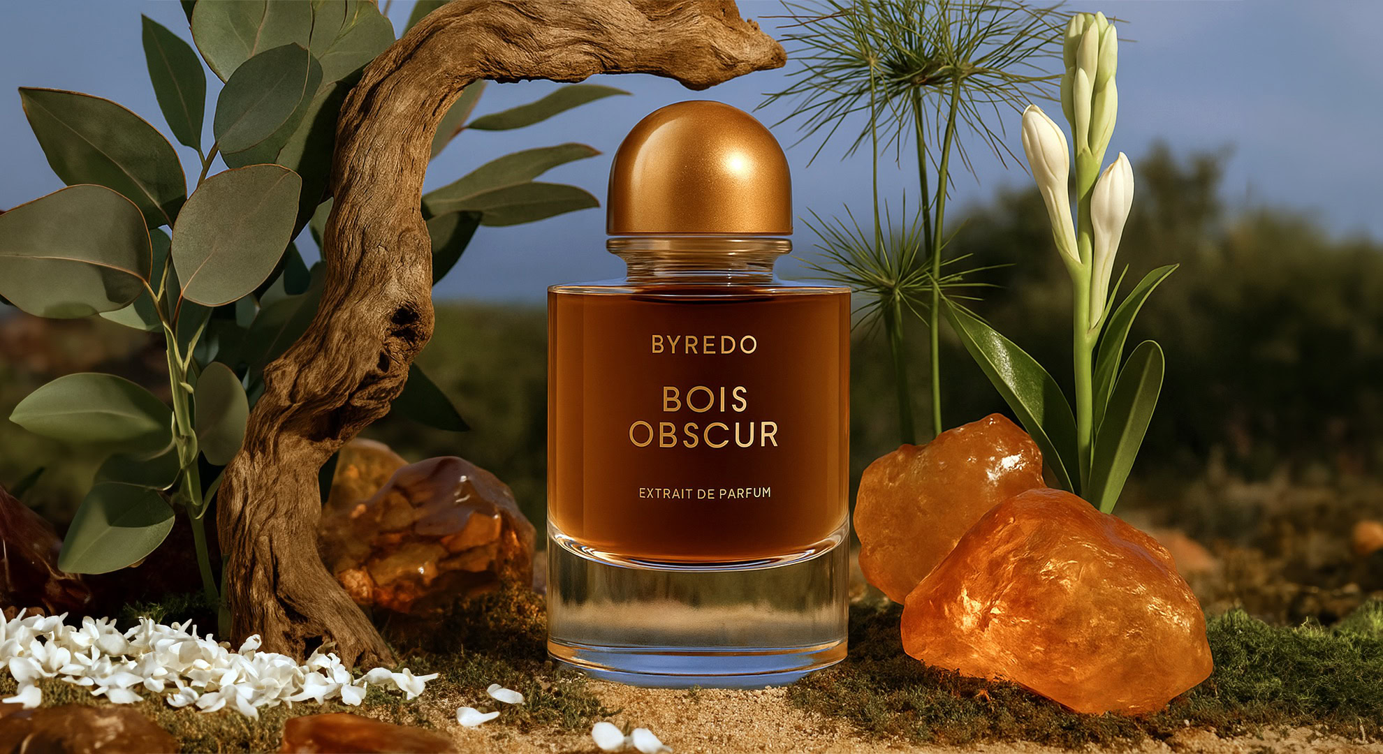 Byredo Night Veils Bois Obscur Extrait de Parfum, launched in 2025, Woody Floral Oriental family. Opens with saffron, eucalyptus, and papyrus, heart of tuberose, jasmine, and oud, base of mineral amber, patchouli, labdanum, and sandalwood.