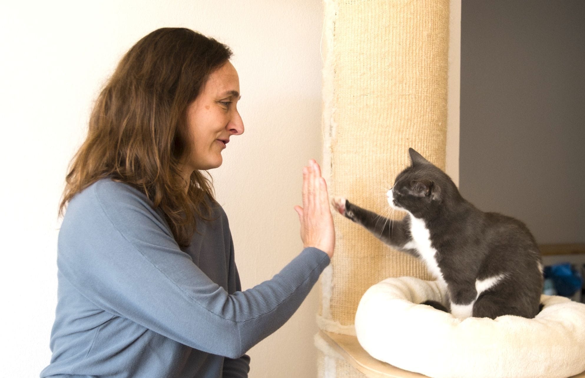 Katzenverhaltensberaterin mit Katze