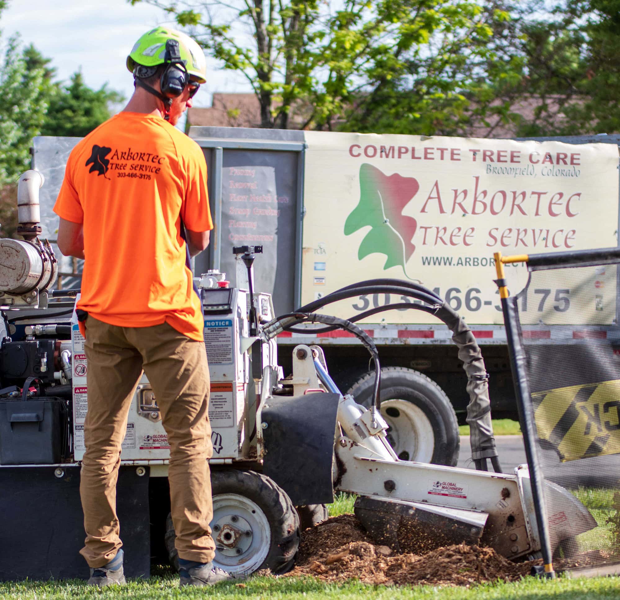 stump grinding and removal denver co