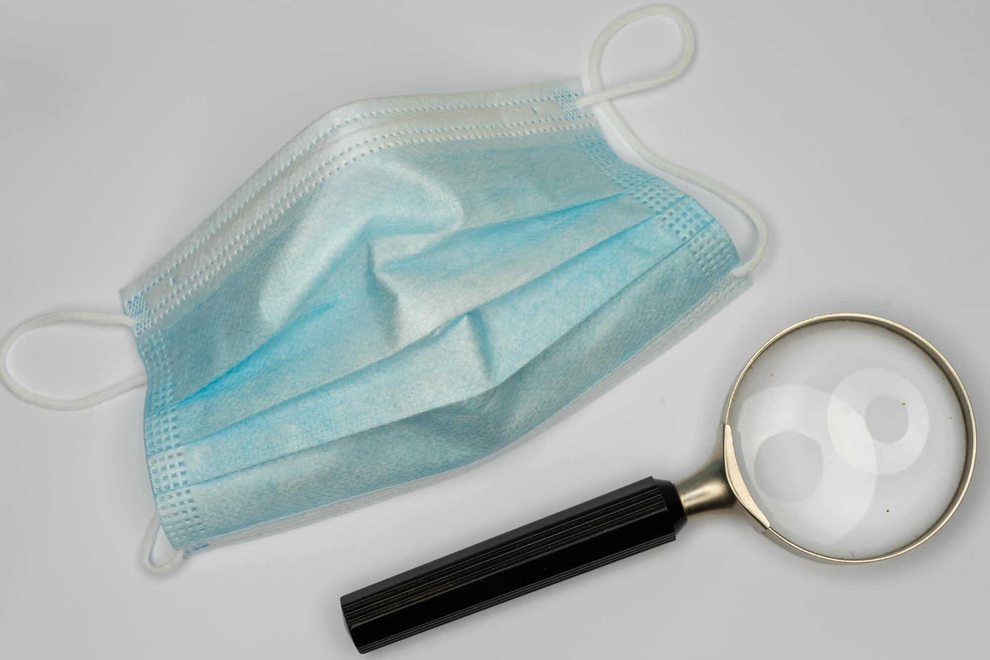 SEO website marketing blue dolphin magnifying glass with covid mask
