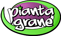 PiantaGrane