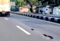 Kementerian Pekerjaan Umum resmi mengucurkan Rp29,05 miliar untuk membenahi ruas Lohbener-Jatibarang sepanjang 8 kilometer lewat program Inpres Jalan Daerah 2025.Foto Ilustrasi tangkap layar.