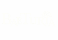 version principal marca 2025 blanco