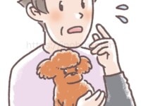 茶色の小型犬を抱いて心配そうにする女性の飼い主