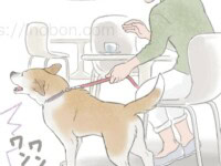 犬のテリトリー意識、警戒吠え ドッグカフェにいる飼い主と犬、近づいて来る他の犬に激しく吠えている