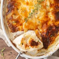 potato gratin