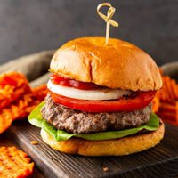 bison burger