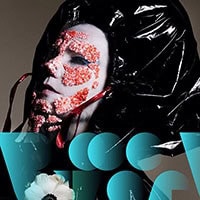 bjork réalité virtuelle, bjork, musique