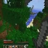 Minecraft Hunger Games