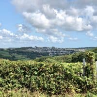 garden fence issues - view of a field over the hedge