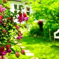 4 Useful Tips For Creating A Truly Lush Garden