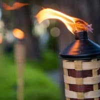 5 Ways To Add Warmth To Your Garden