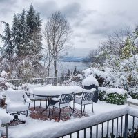 Ingenious Methods For Adding Colour To Your Winter Garden