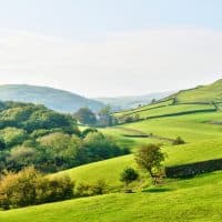 Some Benefits of Living in the Countryside