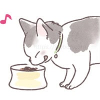 サプリメントを美味しいフードに混ぜ込む 美味しそうにフードを食べている猫