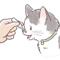 スポイトで液体を猫の口もとへ垂らしている 猫の口にスポイトで液剤を飲ませている