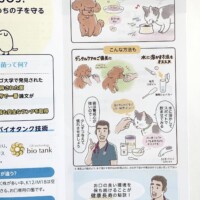 犬猫専用の口腔ケアサプリメント 犬や猫、サプリメントの与え方