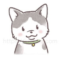 グレーと白のハチワレ柄の猫