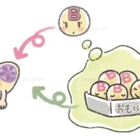 B細胞の分化、形質細胞、メモリーB細胞