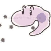 侵入してきた細菌を貪食するマクロファージ