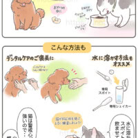 『犬猫用口腔ケアサプリメント」使用方法の紹介マンガ サプリメントの上手な与え方、犬と猫、獣医師