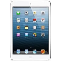 Sandy Apple iPad Air Rentals