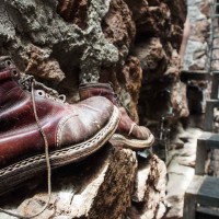 Bergschuh (1 von 1)