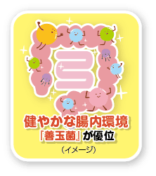 腸内環境の強い味方「乳酸菌」