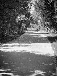 black and white photo of a paved street 