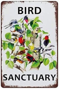 Ideas Bird Sanctuary
