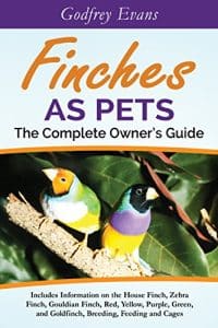 What Do Finches Eat in the Wild