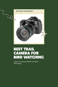 Best Trail Camera for Bird Watching