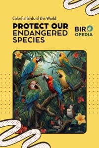 Colorful Endangered Birds