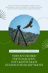 Tripod for Bird Photography