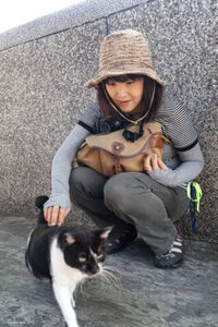 猴硐猫村