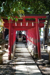 花園神社