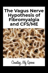 Vagus nerve hypothesis of fibromyalgia and chronic fatigue syndrome