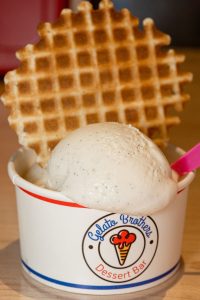 Madagascar Vanilla Bean Gelato