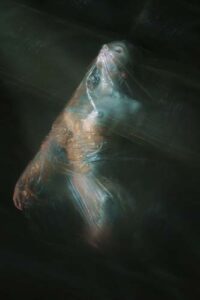 IMG_9703
