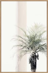 Studio III – Palm Tree - Canvas